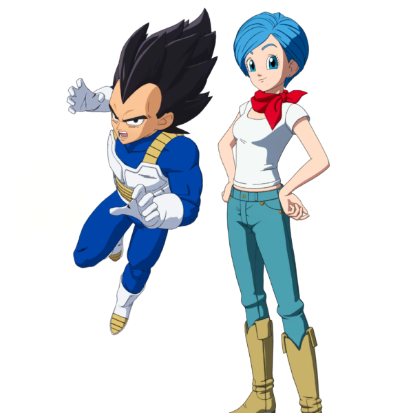Lote Vegeta y Bulma