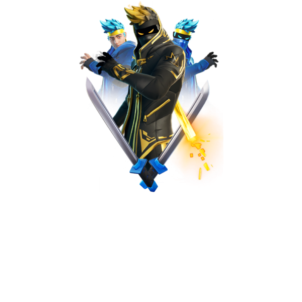 Lote Ninja